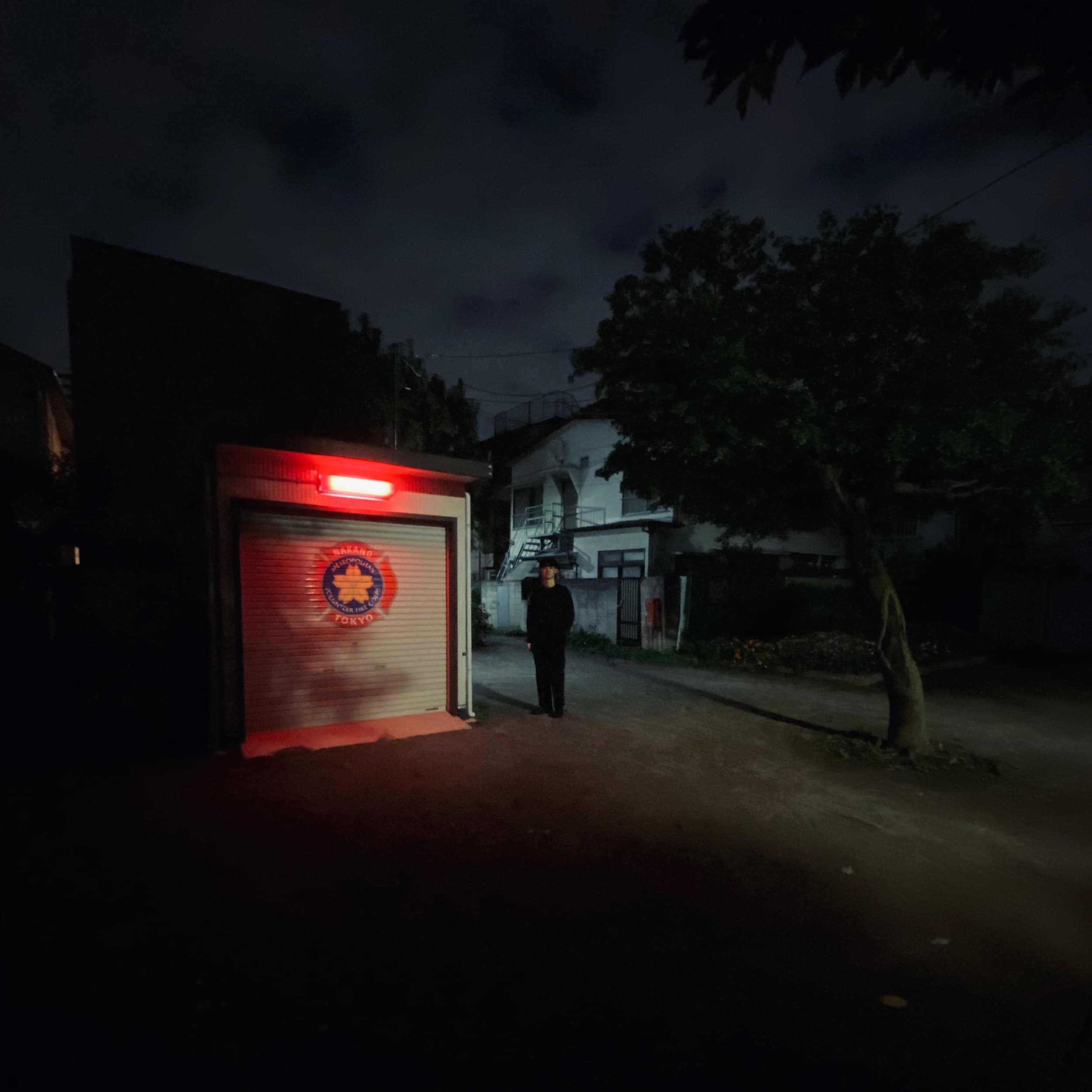 Joe Fujinoki portrait